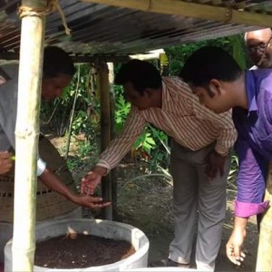 মাটির স্বাস্থ্য রক্ষায় ভার্মিকম্পোস্ট